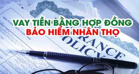 Vay tiền nhanh trong ngày bằng hợp đồng bảo hiểm nhân thọ cá nhân